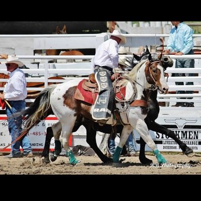 Profile Picture of Joe Blankenship (@blankenship_joe) on Twitter