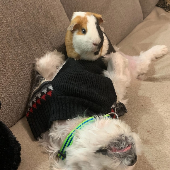 Profile Picture of Amber Wallace (@acary00) on Poshmark