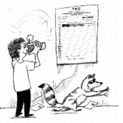 Profile Picture of Foto X Casilla (@fotoxcasilla) on Twitter