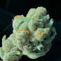 Josh Saxon - Quora Profile Picture of Josh Saxon (@josh-saxon-9) on Quora