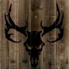 Profile Picture of Carl Olmstead (@coral.r33f) on Tiktok
