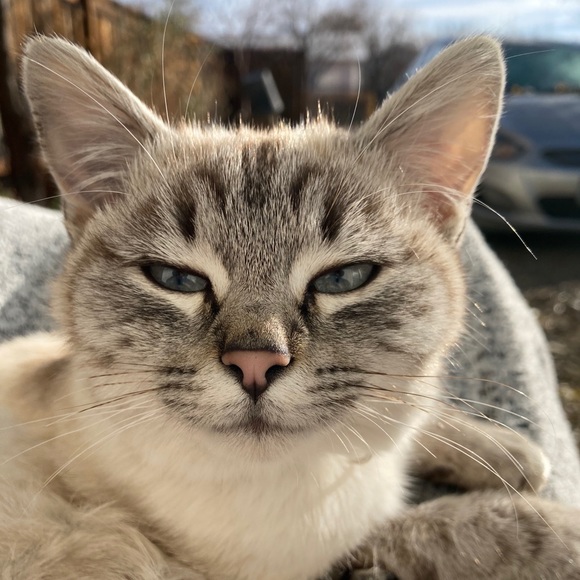 Profile Picture of Ali Blamire (@aliblamire) on Poshmark