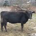 Profile Picture of Brian Koehler (@brian.koehler.75873) on Facebook