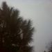 Profile Picture of Anurag Verma (@vanuragverma) on Pinterest