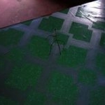 Profile Picture of Royden Sinclair (@linfloyd_) on Instagram