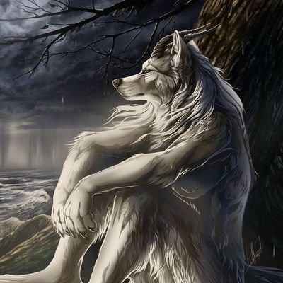 Profile Picture of Yoshimura (@Yoshimu43651859) on Twitter