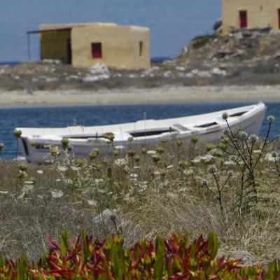 Profile Picture of A. Christian (@FitzroyAustin) on Twitter