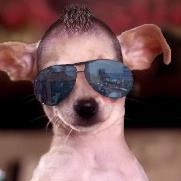 Profile Picture of Michaelguthridge (@Kawikid101) on Twitter