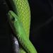 Profile Picture of Pascal Gravelle (@pascalgravelle) on Pinterest