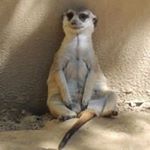 Profile Picture of Peter, Chudý (@petkochudy1981) on Instagram