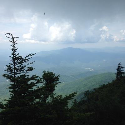 Profile Picture of Andrew Fulcher (@AndrewBaby28) on Twitter