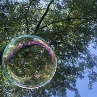 Profile Picture of Andrea Padron (@andrea-padron-4) on Quora