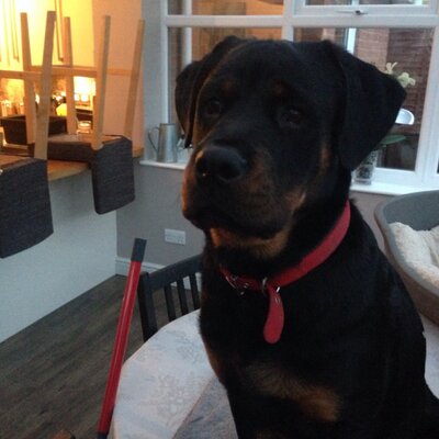 Profile Picture of Gavin Patton (@g_ganin) on Twitter