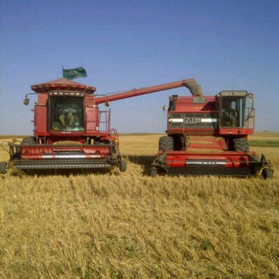 Profile Picture of Steve Czerniak (@czerniakYYZ) on Twitter