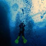 Profile Picture of Michael Epstein (@maikeldiving) on Instagram