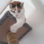 Profile Picture of Derek Bradford (@derekbradford1905) on Instagram