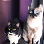 Profile Picture of Lumi & Eddie Pistolas (@los.pistolas) on Instagram