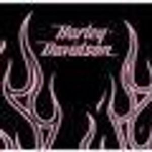 Profile Picture of Genia Williams (@ak_snobunni) on Myspace