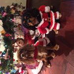 Profile Picture of Kelly O'Connor Mansfield (@mansfield6599) on Instagram