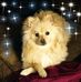 Profile Picture of Korina Campos (@korina.campos.9) on Facebook