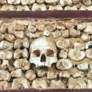 Profile Picture of Peter Knobloch (@peter.knobloch.391) on Facebook