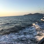 Profile Picture of Craig Rae (@craigrae8) on Instagram