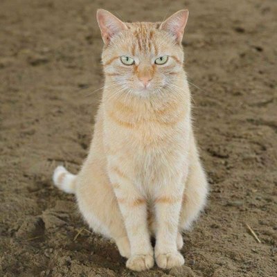 Profile Picture of BenjaminFerrier (@BenjaminFerrie4) on Twitter