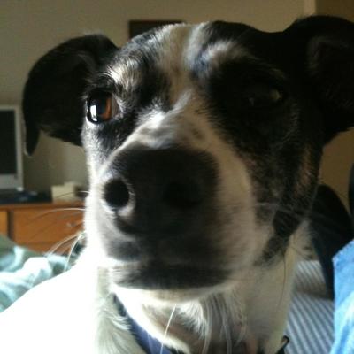 Profile Picture of Brian Cole (@babylon_brian) on Twitter