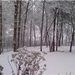 Profile Picture of Angela Holcomb (@young1970) on Pinterest