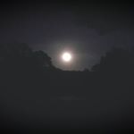 Profile Picture of Michael Cusato (@michael.cusato.77) on Instagram