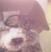 Profile Picture of David Latshaw (@david.latshaw.967) on Facebook
