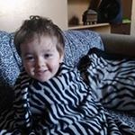 Profile Picture of Andrew Adler (@adler198526) on Instagram