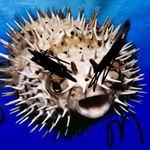 Profile Picture of james_wilbertson (@james_wilbertson) on Instagram