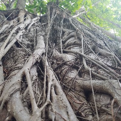 Profile Picture of Stephen Barter (@pybarter) on Twitter