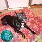 Profile Picture of Crystal Richardson (@crystal.richardson.79677471) on Instagram