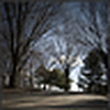 Profile Picture of n*joseph (@n*joseph) on Flickr