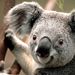 Profile Picture of Paul Gotts (@bioscloop) on Pinterest