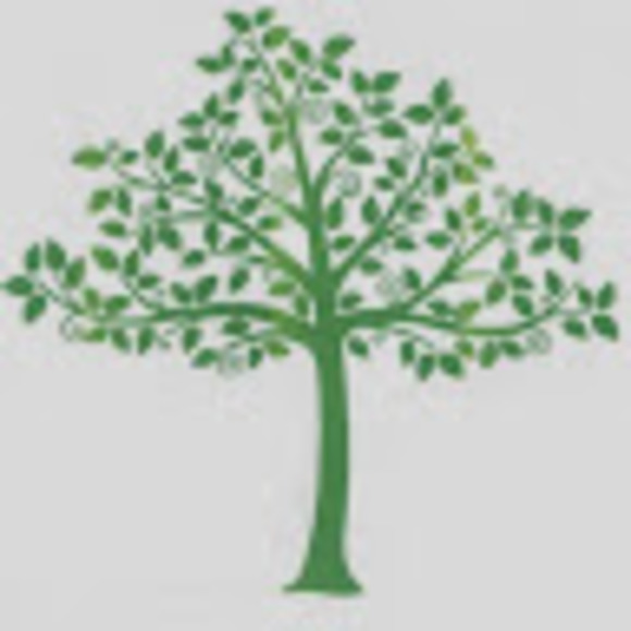 Profile Picture of Jeong Choe (@gd0728gf) on Poshmark