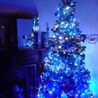 Profile Picture of Lily Ryan (@lily-ryan-12) on Quora