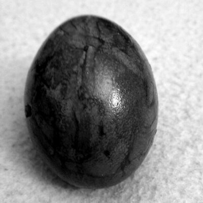 Tobias Fischer - Twitter Profile Picture of Tobias Fischer (@gullymat) on Twitter