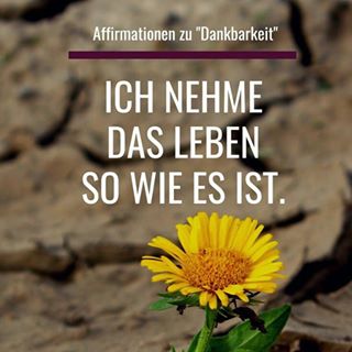 Profile Picture of Brigitte Radkohl (@brigitte.radkohl) on Facebook