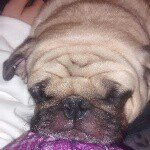 Profile Picture of Taylor Snapchat tay_sparkles (@tcromwell77) on Instagram