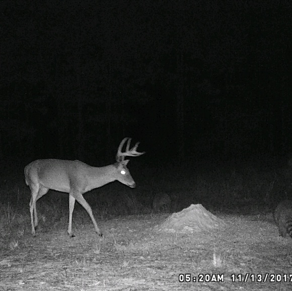 Profile Picture of Derek Thigpen (@derekthigpen) on Poshmark