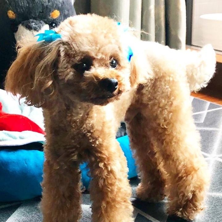 Profile Picture of Marisa.Singleton (@brookoojgdx) on Tiktok