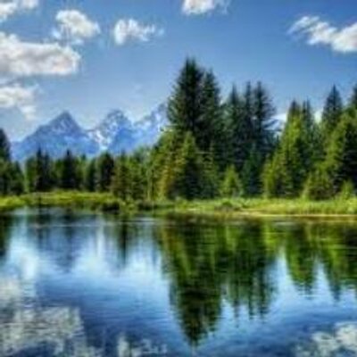 Profile Picture of Jesse Bridges (@JesseBridges7) on Twitter