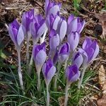 Profile Picture of Robin Dubach Mlckovsky (@robinmlckovsky) on Instagram