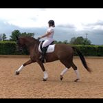 Profile Picture of Tina Phillips Dressage 🇬🇧 (@tinaphillipsdressage) on Instagram