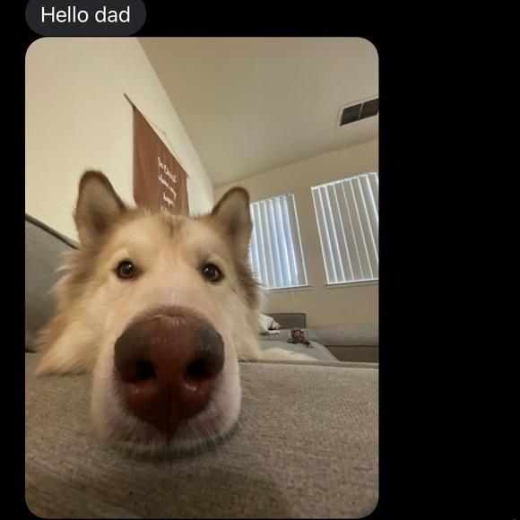 Profile Picture of Sean Goings (@seangoings) on Poshmark