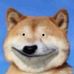 Profile Picture of Julia Zhao (@julia.zhao.3910) on Facebook