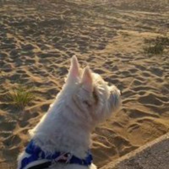 Profile Picture of Connie Tahaney campbell (@connietahane868) on Poshmark